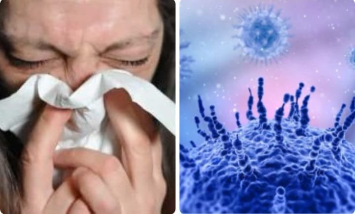 H3N2: होली पर रहें alert, मास्क और सोशल डिस्टेंसिंग जरूरी, ये लक्षण हैं तो आप कोरोना नहीं H3N2 इन्फ्लूएंजा के शिकार, बरतें ये सावधानियां